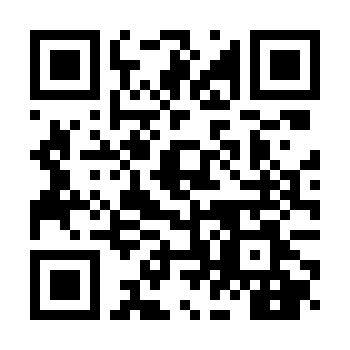 QR code to netsive.com